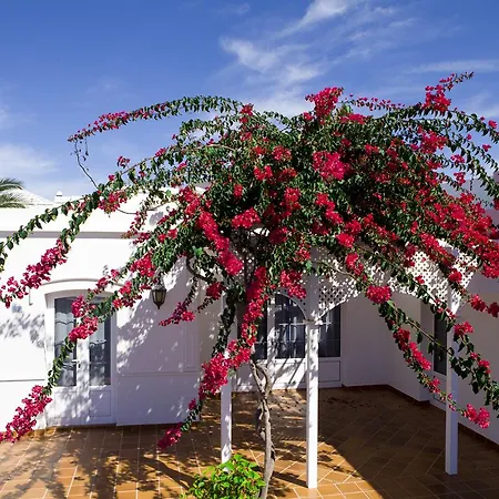 Livvo Coloradamar * Playa Blanca (Lanzarote)